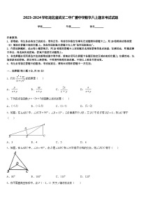 2023-2024学年湖北省武汉二中广雅中学数学八上期末考试试题含答案