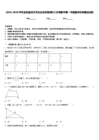 2023-2024学年湖北省武汉市光谷实验等四校八年级数学第一学期期末检测模拟试题含答案