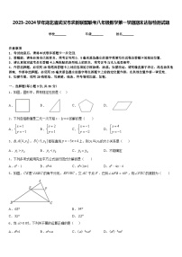 2023-2024学年湖北省武汉市求新联盟联考八年级数学第一学期期末达标检测试题含答案