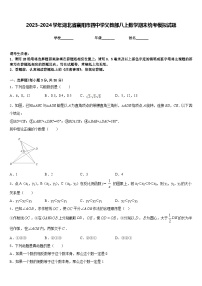 2023-2024学年湖北省襄阳市四中学义教部八上数学期末统考模拟试题含答案