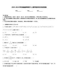 2023-2024学年湖南省郴州市八上数学期末综合测试试题含答案