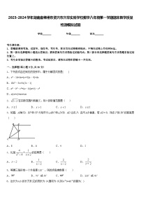 2023-2024学年湖南省郴州市资兴市兴华实验学校数学八年级第一学期期末教学质量检测模拟试题含答案