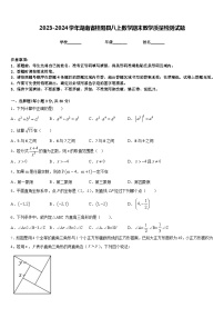 2023-2024学年湖南省桂阳县八上数学期末教学质量检测试题含答案