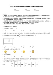 2023-2024学年湖南省娄底市娄星区八上数学期末检测试题含答案