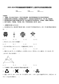 2023-2024学年湖南省益阳市普通数学八上期末学业质量监测模拟试题含答案