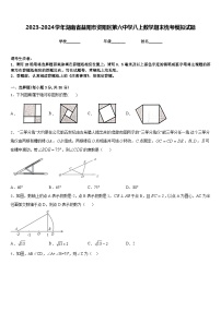 2023-2024学年湖南省益阳市资阳区第六中学八上数学期末统考模拟试题含答案