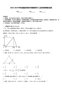 2023-2024学年湖南省岳阳市岳阳县数学八上期末调研模拟试题含答案