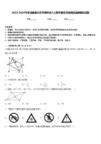 2023-2024学年湖南省长沙市教科所八上数学期末质量跟踪监视模拟试题含答案