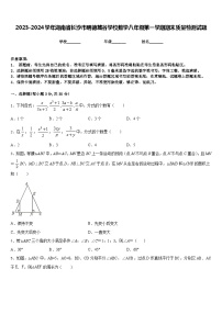 2023-2024学年湖南省长沙市明德麓谷学校数学八年级第一学期期末质量检测试题含答案