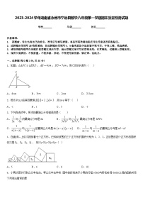 2023-2024学年湖南省永州市宁远县数学八年级第一学期期末质量检测试题含答案