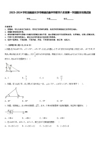 2023-2024学年湖南省长沙市明德启南中学数学八年级第一学期期末经典试题含答案