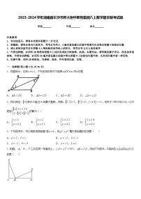 2023-2024学年湖南省长沙市师大附中教育集团八上数学期末联考试题含答案