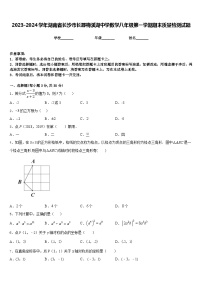 2023-2024学年湖南省长沙市长郡梅溪湖中学数学八年级第一学期期末质量检测试题含答案