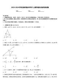 2023-2024学年白银市重点中学八上数学期末达标检测试题含答案