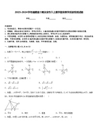 2023-2024学年福建省三明永安市八上数学期末教学质量检测试题含答案