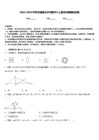 2023-2024学年甘肃省天水市数学八上期末经典模拟试题含答案