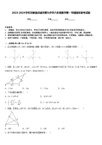 2023-2024学年甘肃省武威市第九中学八年级数学第一学期期末联考试题含答案