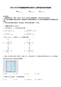 2023-2024学年福建省漳州市龙海市八上数学期末质量检测试题含答案