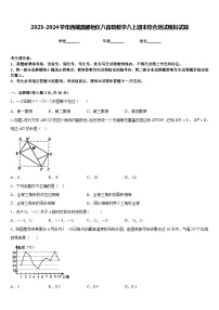 2023-2024学年西藏昌都地区八宿县数学八上期末综合测试模拟试题含答案