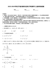 2023-2024学年辽宁省沈阳市东北育才学校数学八上期末检测试题含答案