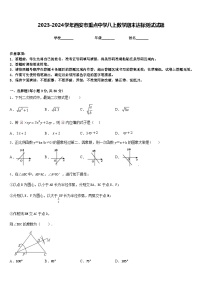 2023-2024学年西安市重点中学八上数学期末达标测试试题含答案