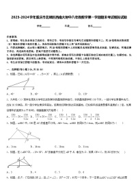 2023-2024学年重庆市北碚区西南大附中八年级数学第一学期期末考试模拟试题含答案