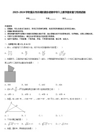 2023-2024学年重庆市开州区镇东初级中学八上数学期末复习检测试题含答案