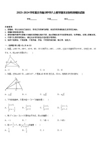 2023-2024学年重庆市南川中学八上数学期末达标检测模拟试题含答案