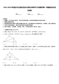 2023-2024学年重庆市万盛经济技术开发区关坝中学八年级数学第一学期期末综合测试试题含答案