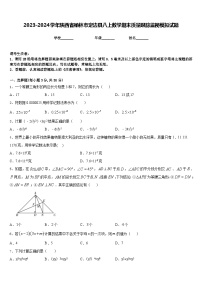 2023-2024学年陕西省榆林市定边县八上数学期末质量跟踪监视模拟试题含答案