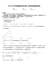 2023-2024学年陕西省延安市洛川县八上数学期末调研模拟试题含答案