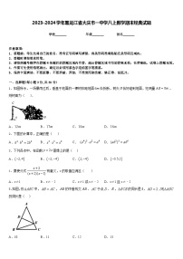 2023-2024学年黑龙江省大庆市一中学八上数学期末经典试题含答案