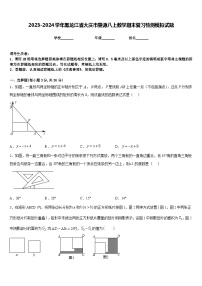 2023-2024学年黑龙江省大庆市肇源八上数学期末复习检测模拟试题含答案