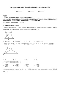 2023-2024学年黑龙江省黑河北安市数学八上期末综合测试试题含答案