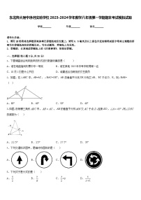 东北师大附中净月实验学校2023-2024学年数学八年级第一学期期末考试模拟试题含答案