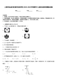 上海市宝山区刘行新华实验学校2023-2024学年数学八上期末达标检测模拟试题含答案