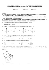 上海市静安区、青浦区2023-2024学年八上数学期末质量检测试题含答案