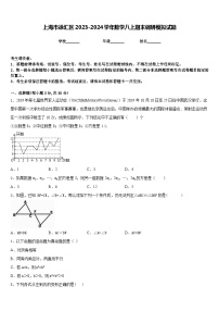 上海市徐汇区2023-2024学年数学八上期末调研模拟试题含答案