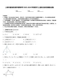 上海市浦东新区建平香梅中学2023-2024学年数学八上期末达标检测模拟试题含答案