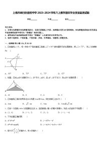 上海市闵行区信宏中学2023-2024学年八上数学期末学业质量监测试题含答案