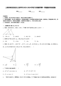 上海市闵行区民办上宝中学2023-2024学年八年级数学第一学期期末检测试题含答案