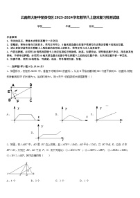 云南师大附中呈贡校区2023-2024学年数学八上期末复习检测试题含答案