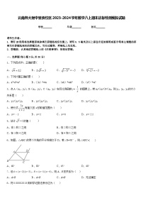 云南师大附中呈贡校区2023-2024学年数学八上期末达标检测模拟试题含答案