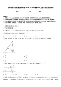 上海市浦东新区第四教育署2023-2024学年数学八上期末质量检测试题含答案