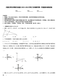 内蒙古鄂尔多斯市东胜区2023-2024学年八年级数学第一学期期末调研试题含答案