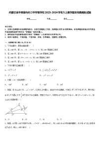 内蒙古翁牛特旗乌丹三中学等学校2023-2024学年八上数学期末经典模拟试题含答案