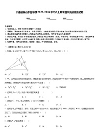 云南省保山市施甸县2023-2024学年八上数学期末质量检测试题含答案