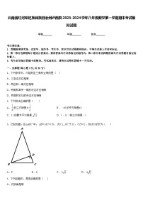 云南省红河哈尼族彝族自治州泸西县2023-2024学年八年级数学第一学期期末考试模拟试题含答案