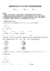 云南省玉溪市名校2023-2024学年八上数学期末达标测试试题含答案