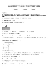 云南省牟定县茅阳中学2023-2024学年数学八上期末考试试题含答案